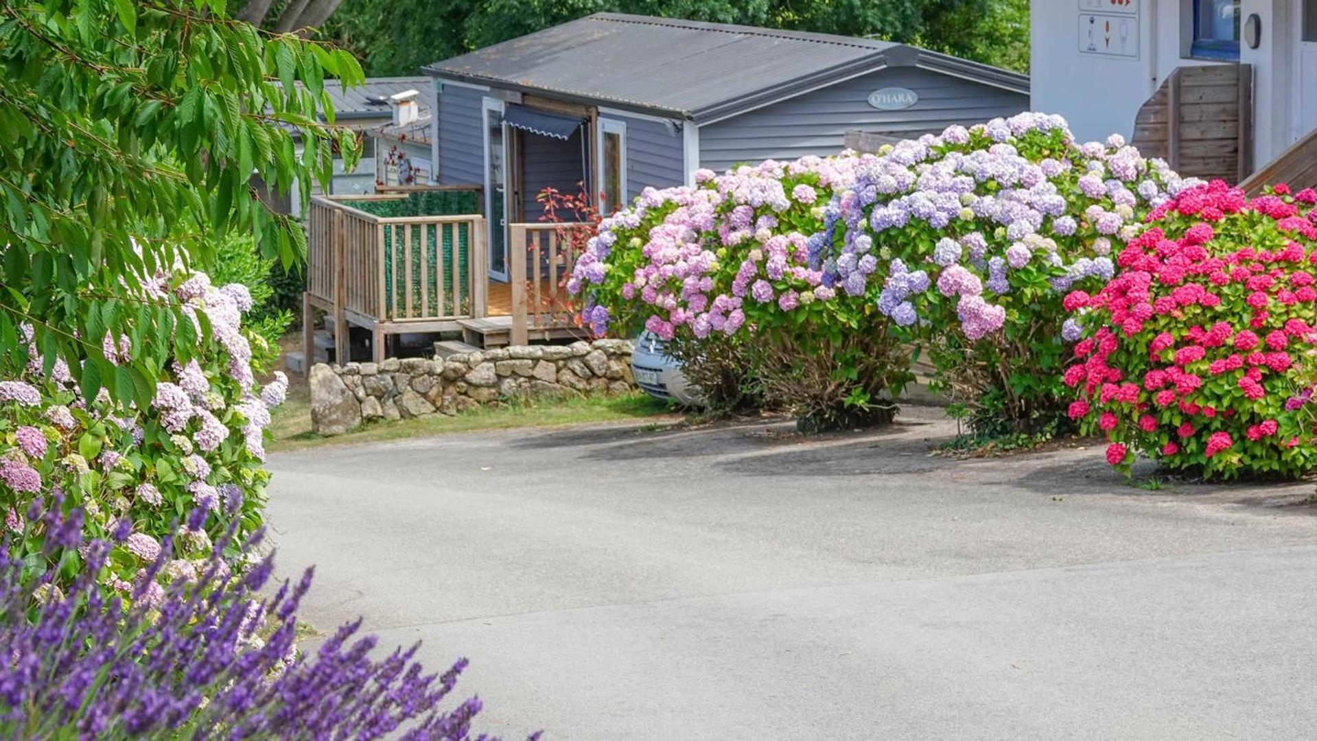 Camping Le Dolmen, Carnac, Morbihan Buitenkant foto