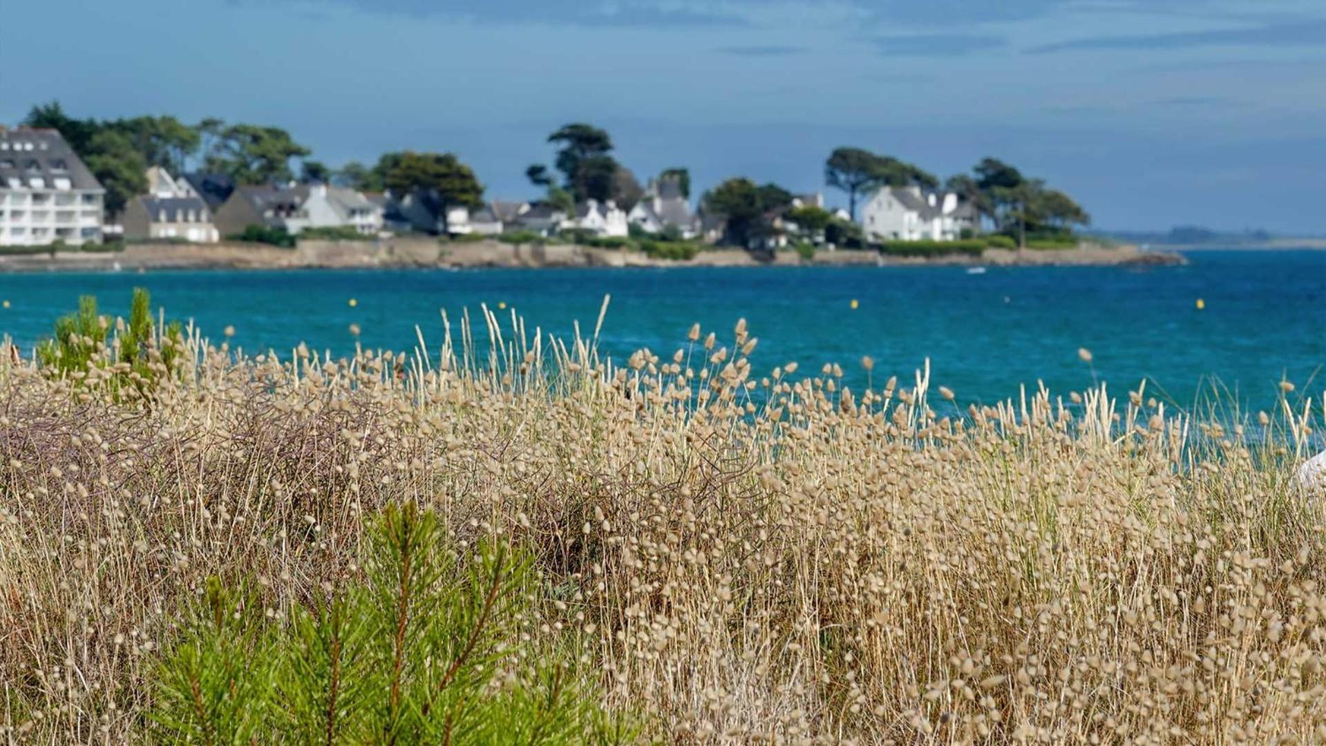 Camping Le Dolmen, Carnac, Morbihan Buitenkant foto